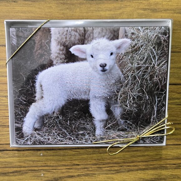 Four Boxes of Blank Notecards with Wildlife (12 to a box, 48 cards total) - Picture 2 of 9